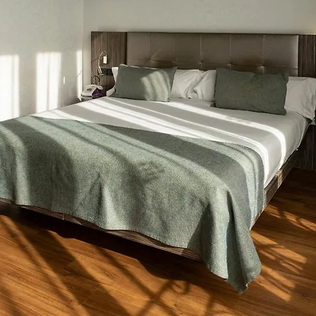 Hotel Petit Palace Museum 4*