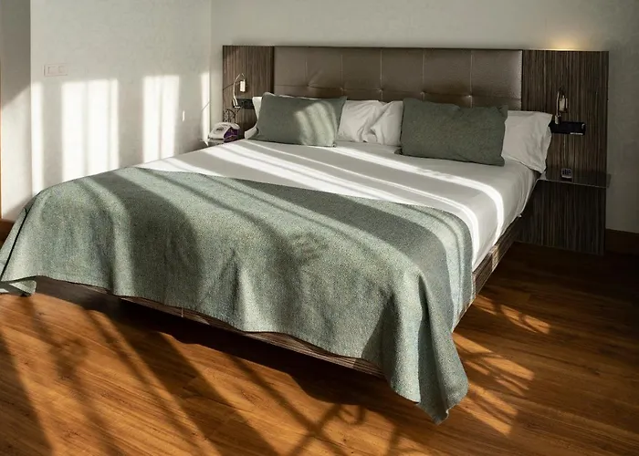 Hotel Petit Palace Museum 4*